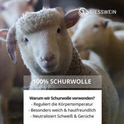 Giesswein Woolpops Hüttenschuhe -Schuh Verkauf Geschäft 16919345 04